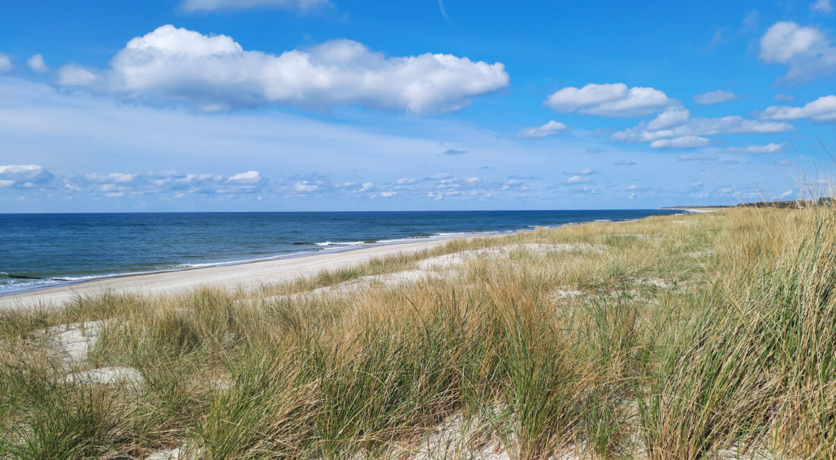 Frühjahrsputz in der Ferienwohnung